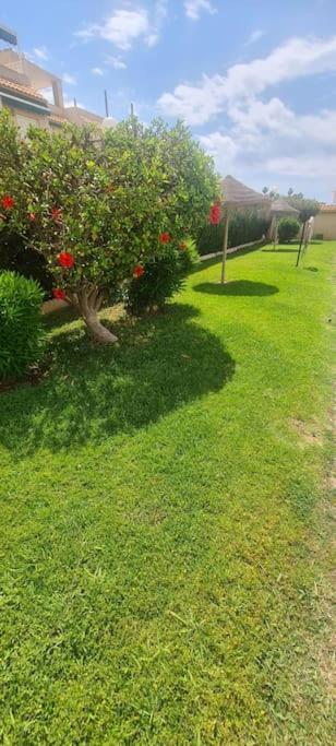 Bungalow Avec Piscine Torrevieja Dış mekan fotoğraf