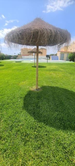 Bungalow Avec Piscine Torrevieja Dış mekan fotoğraf