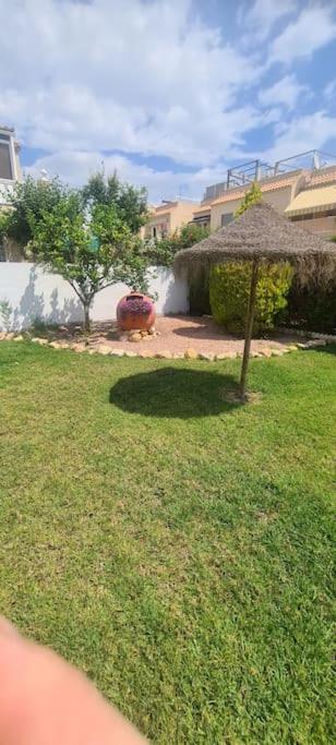 Bungalow Avec Piscine Torrevieja Dış mekan fotoğraf