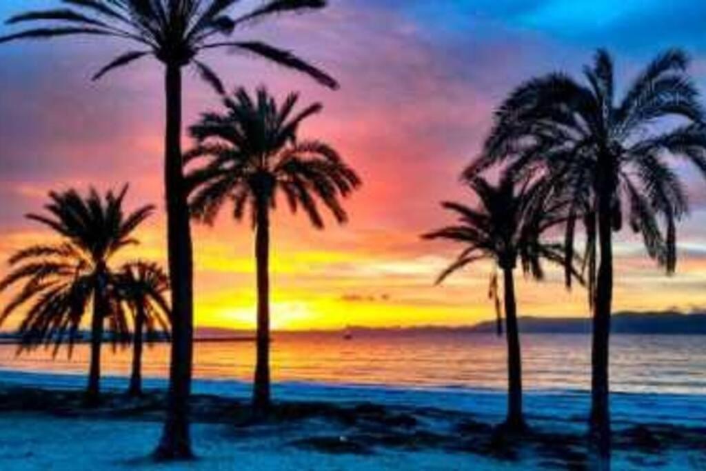 Bungalow Avec Piscine Torrevieja Dış mekan fotoğraf