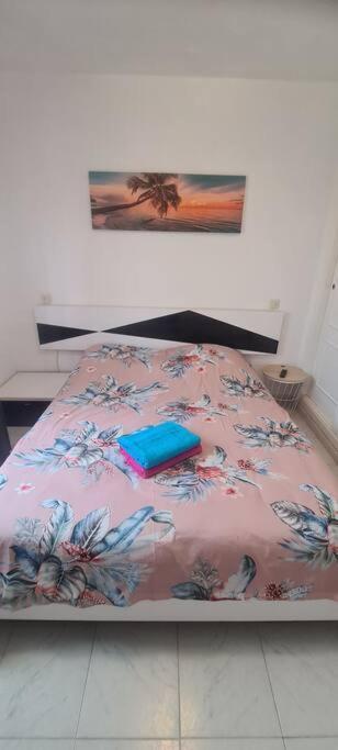 Bungalow Avec Piscine Torrevieja Dış mekan fotoğraf